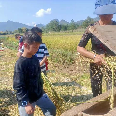 10月25人第五完全小学四年级8班下灌农耕实践研学