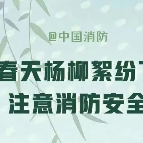 杨柳絮消防安全不容忽视