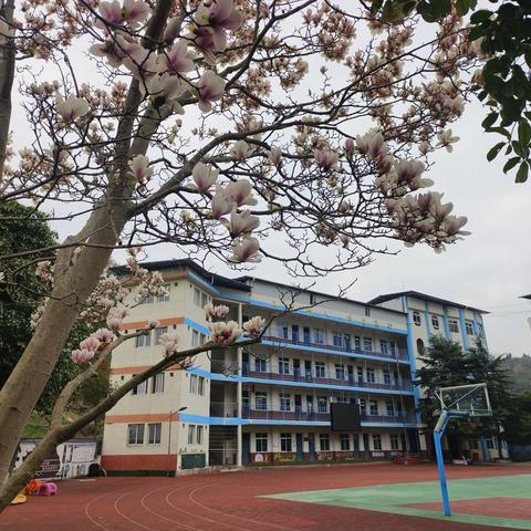 “家校携手话平安，齐心共育促成长”——重庆市梁平区曲水镇中心小学2024春季期中家长会