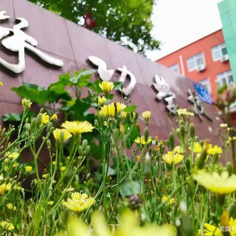 济阳区承功学校“五四青年节”歌咏比赛主题活动