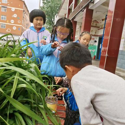 情系蜗牛，趣味横生——开封市文昌教育集团仁和校区一年级开展科学实践活动