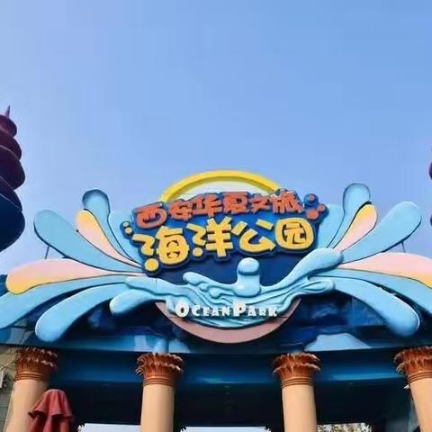 探索海洋生物            寻找丝路传奇——三殿中心小学研学活动
