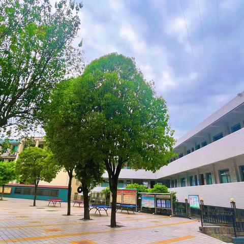 人生在勤，不索何获——旬阳市赤岩初级中学第十三周值周工作纪实