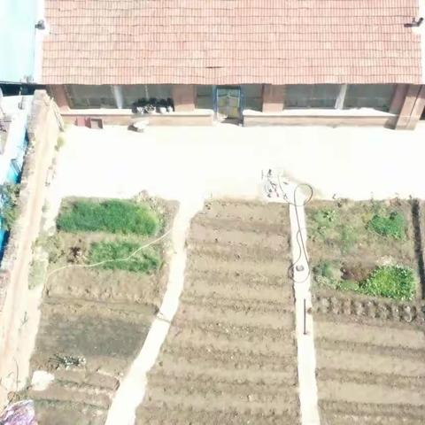 泃阳镇开展无人机助力禁种铲毒巡查活动