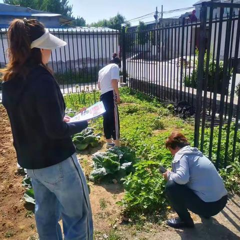 泃阳镇：开展有毒必肃种毒必究禁种铲毒踏查宣传活动
