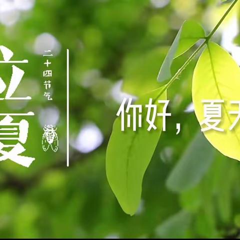 【商幼永昌中三班】蝉鸣春去 遇见立夏