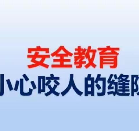 《小心咬人的缝隙》——东垡上安全教育活动