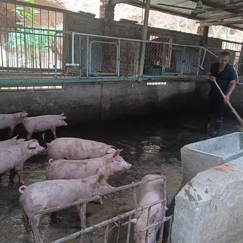 穆寨街办的美篇