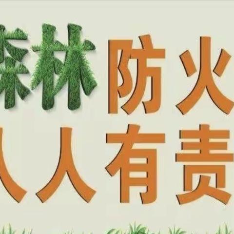 一枝一叶总关情，护林防火伴我行——关坪九年一贯制学校森林防火知识宣传