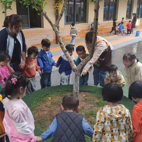 【课程故事】爱嘉贝幼稚园彩虹🌈二班四月主题活动——《大家一起玩》