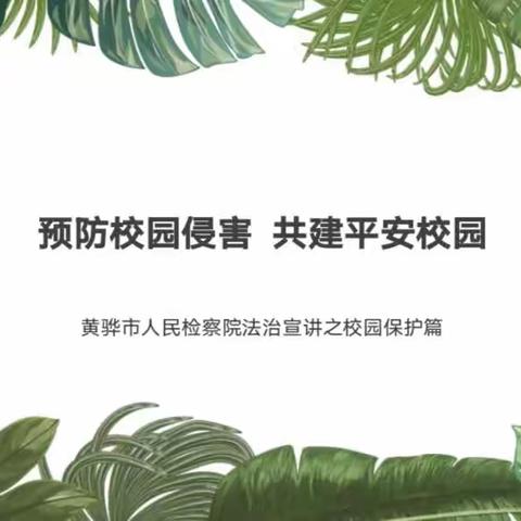 羊二庄中心校—“木兰有约，法治宣讲进校园”学习活动