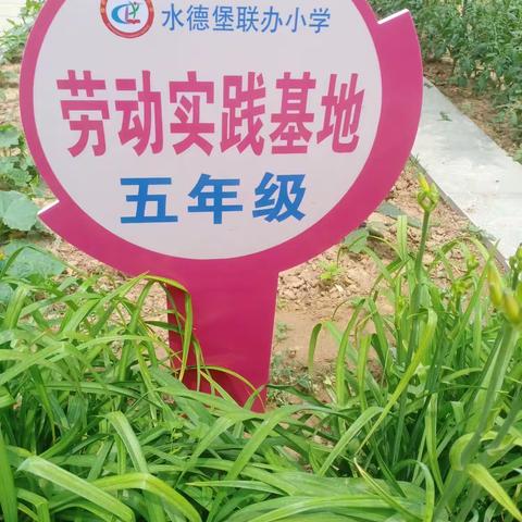 水德堡小学一一【关爱学生 幸福成长】活动记实