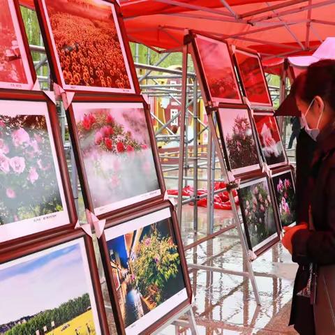 临夏市举办“石榴红·花都美”摄影作品展