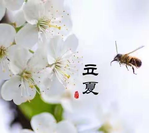 快乐传承  缤纷立夏——记王宅小学四六班“立夏”节气主题活动