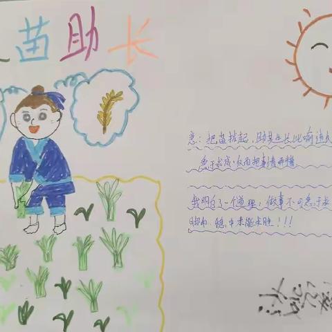 读千古故事，明世间真理——南石门中心小学2024年读书节系列活动之三年级手抄报制作比赛