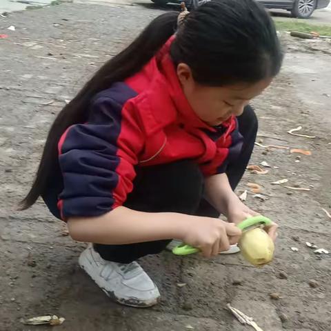 我是家庭劳动小能手