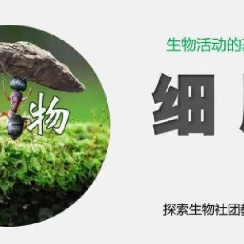 细胞结构·植物细胞（下午2：00班）