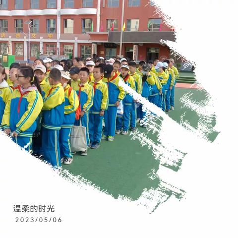 劳动砺心志，实践促成长