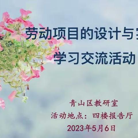 聚焦项目学习，赋能教师成长——青山区劳动课项目的设计与实施学习交流活动纪实