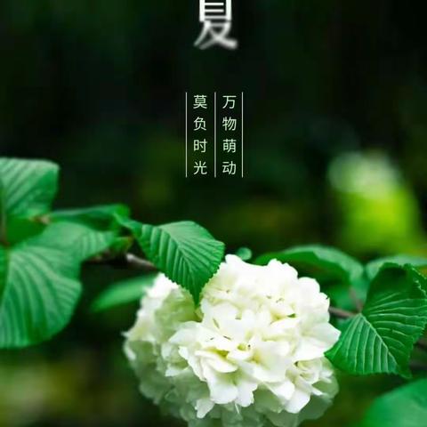 砥砺深耕新课标，芳华待灼新征程——“聚焦新课标，赋能新课堂”2023年建平县小学英语教学研…（副本）