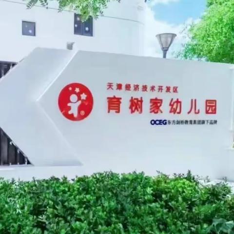 浓情端午，端午安康——泰达育树家幼儿园大班组