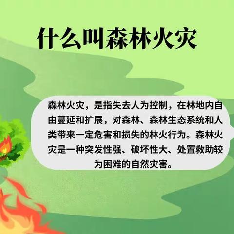 “防森林火灾，守绿色家园”——小一班