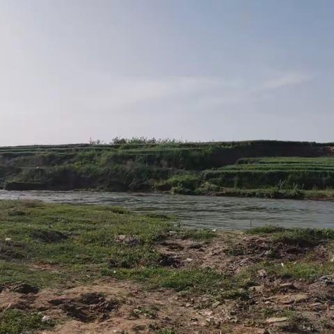 东杨庄镇持续开展河道巡查工作