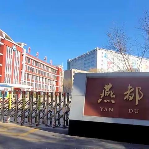 五年四班劳动实践活动——多彩饺子