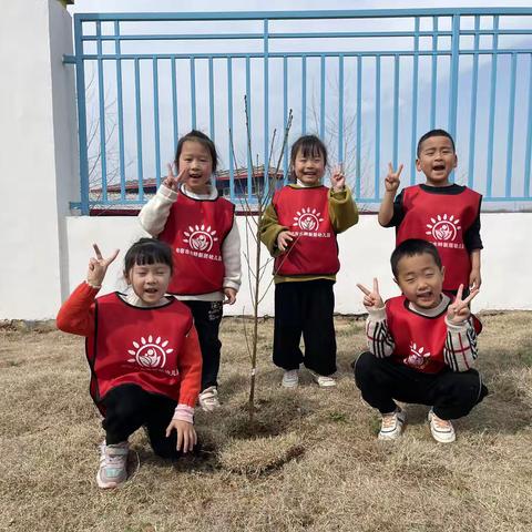 我们的班树：桃树