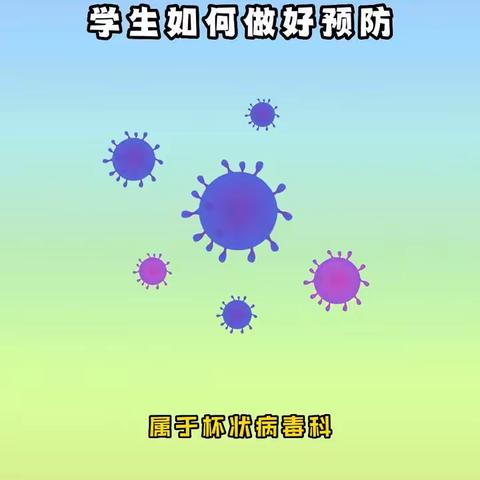 如何预防诺如病毒🦠呵护幼儿健康——豪园天翼幼儿园