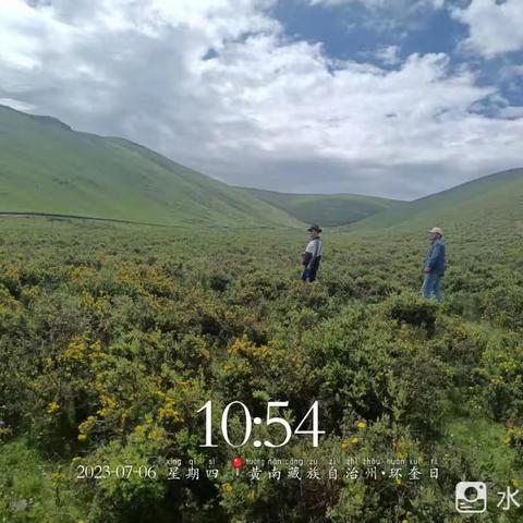 守护绿水青山  巴滩管委会开展巡林巡草巡河工作