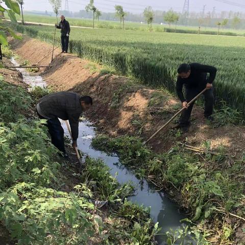 西金城村创建全国文明典范城市，村民齐上阵共建和谐美丽家园。