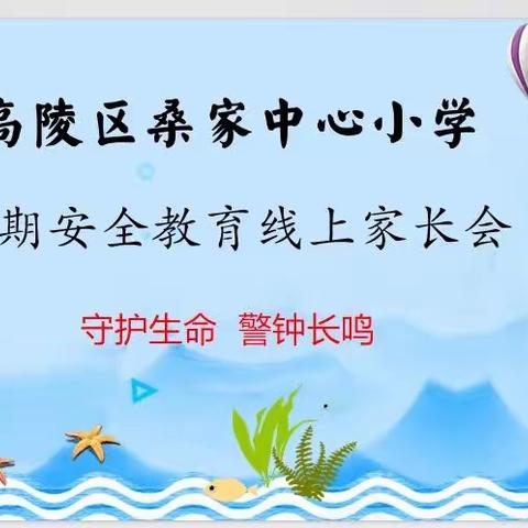 桑家中心小学六二班2023年暑期安全暨防溺水联防联治专题线上家长会纪实