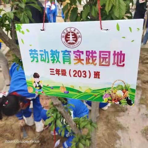 不负春光好，春耕正当时——203班劳动实践教育