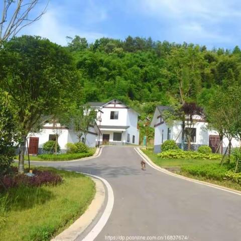 502班综合实践活动第四天