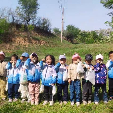 未来贝星幼儿园精灵班［摘槐花做大餐］