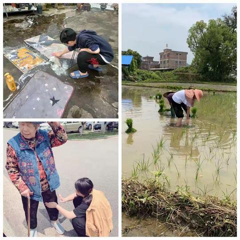 劳动享乐趣，行动正当时