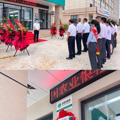 盛装绽放 扬帆起航——中国农业银行澄迈油服支行重装开业