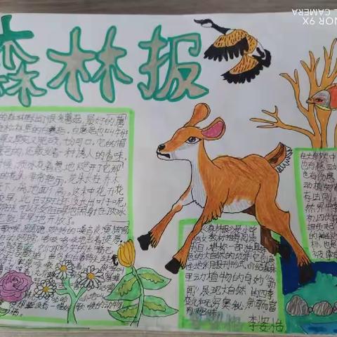 共沐书香，阅读悦美——周营镇中心小学四年级