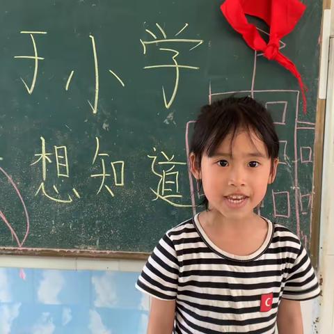 【班本课程】畅想小学———分水幼儿园大二班班本课程