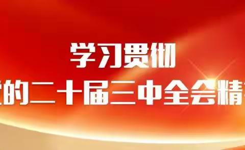 【学习专题】党的二十届三中全会精神应知应会【三】