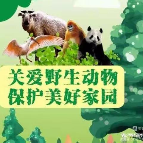 金沟林场开展“2023清风行动”专项行动会议