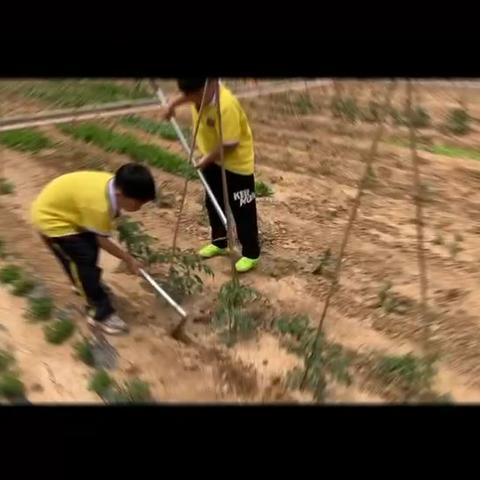 【润劳动】植根半亩田园 朝向幸福生长——水泉小学劳动教育基地实践纪实（二）