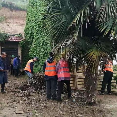 风雨无阻，全力推进，斜口街道整治人居环境