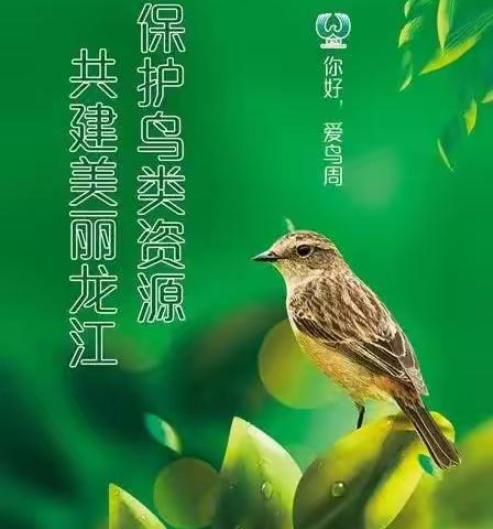 新林林场的美篇