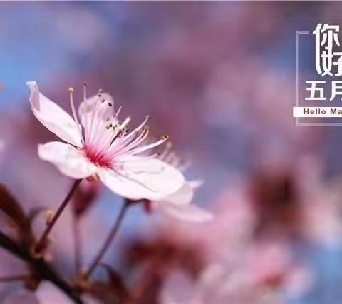 周丽的美篇