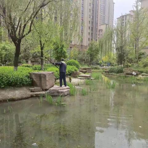 锦绣花苑二期物业七月份工作简报