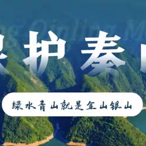 保护秦岭生态环境，争做秦岭生态卫士———木王镇杨泗小学开展“保护秦岭”主题教育活动