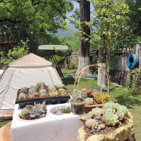 快乐母亲节，母亲节快乐——“和悦”女子沙龙母亲节活动启事