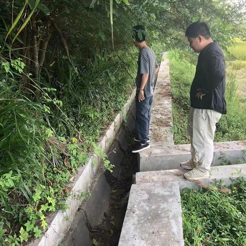 产业办8月7日至11日工作简报